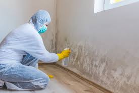 Best Industrial Mold Remediation  in Fairplay, GA